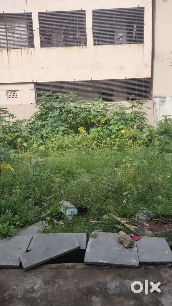 Plot near kabela back side