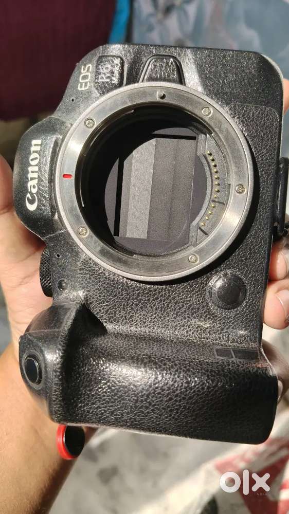 R6ii only body