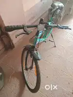 Leader Cycle