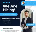 Collection Executive
