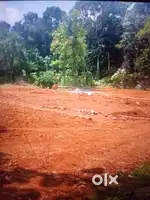 പാലാ വള്ളിച്ചിറയിൽ നിന്നും 1.5km മാറി 5സെന്റ് 10സെന്റ്ഹൗസ് പ്ലോട്ടുകൾ