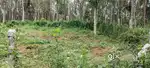 Land For Sale in Mukoottukal, Manjalumoodu