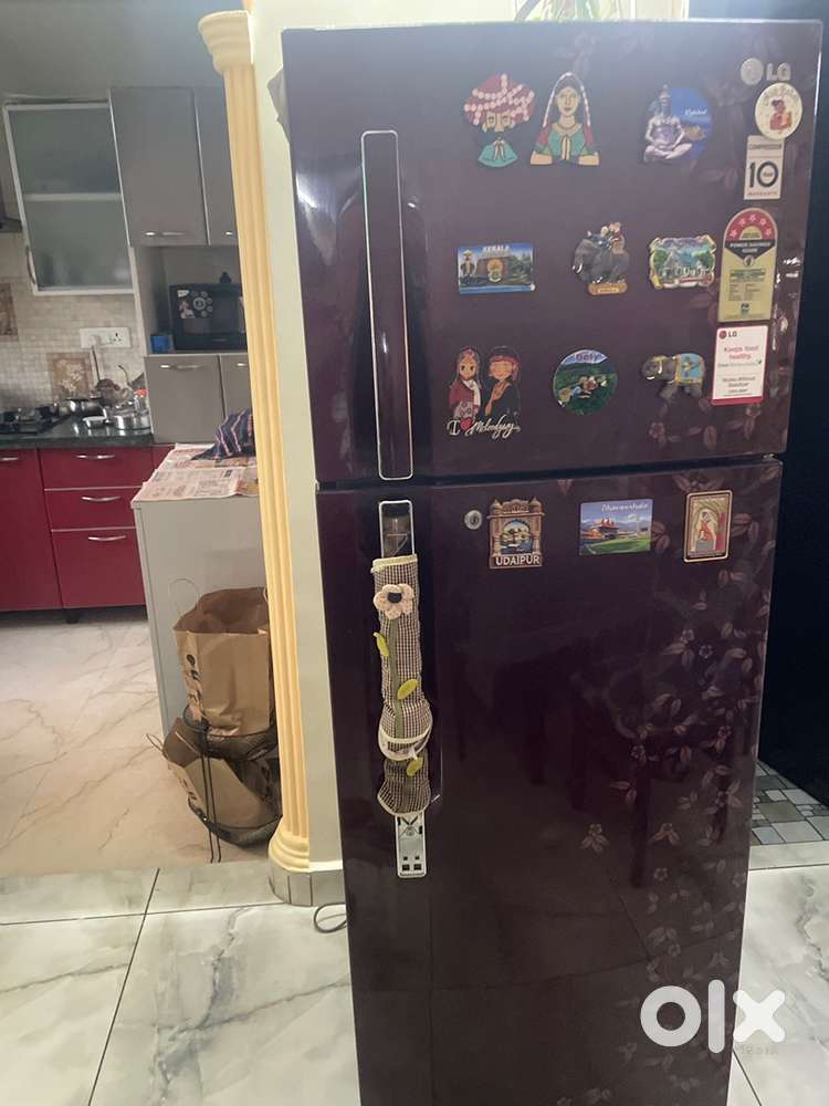LG Fridge 330L