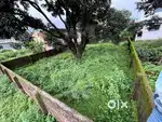 233 gaj plot in Shyampur