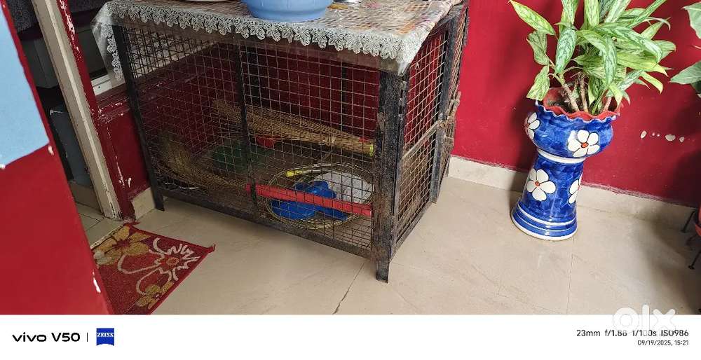 Cage for sale in 4k solid tough iron with door