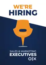 Sales & marketing executive