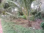10.5 Cent house plot in Veroor, Changanacherry