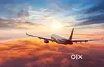 All india based jobs in indigo Airlines urgent hiring