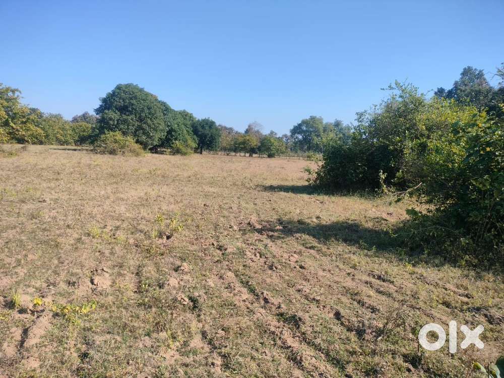 पचमढ़ी के पास  होटल Resorts बनाने के लिए ज़मीन बिकाऊ है