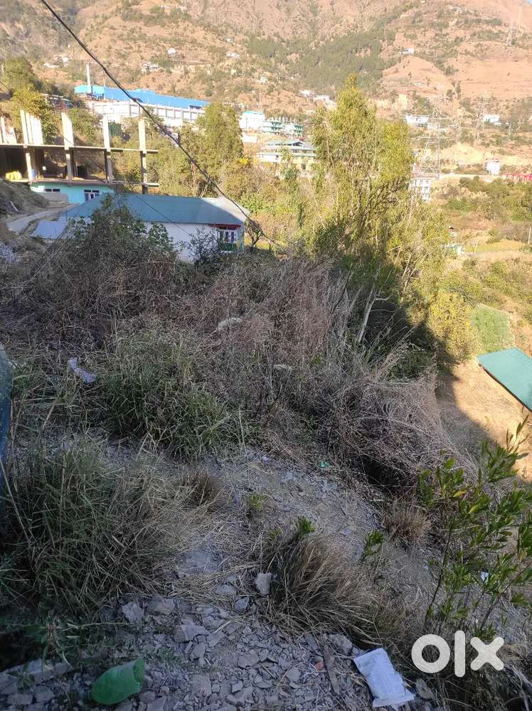 Land located in sainj ६ bigha for sale