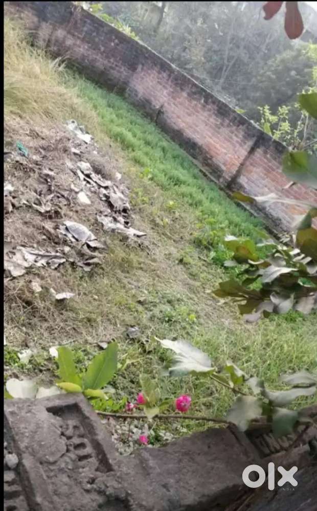 Plot is in ekta nagar behind nehru urja udyan t