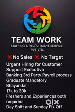 Coustomer service/ Bpo