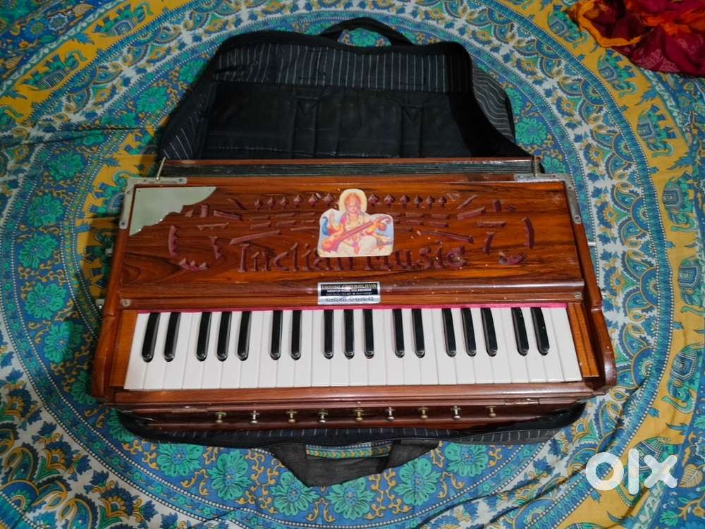 Double harmonium for student