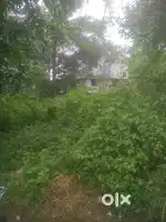 8cent square plot, irshad junction