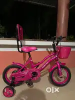 Cosmic jade bicycle