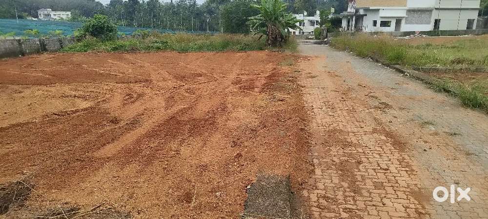 5 CENT ORIGINAL LAND FOR SALE AT INFOPARK PHASETO