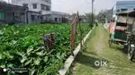 Land Sale in Birati ,Kolkata.