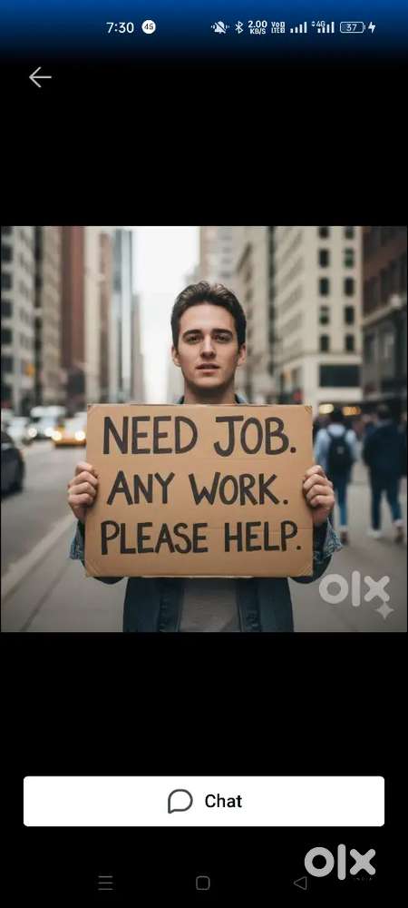 I need a job