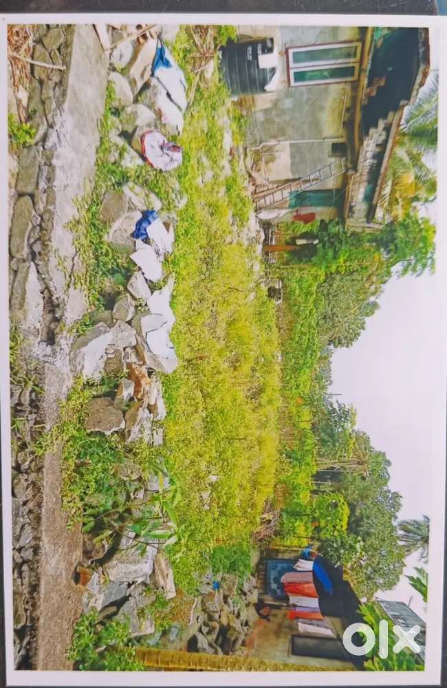 Plot for selling urgently