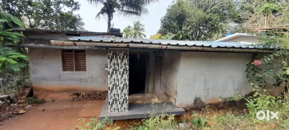 Pavayil cheerp 3 BHK house for sale.3cnt plot