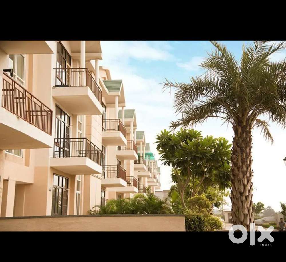 3BHK Floor for Rent in Omaxe Silver Birch, New Chandigarh