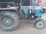 Mandi dhanora