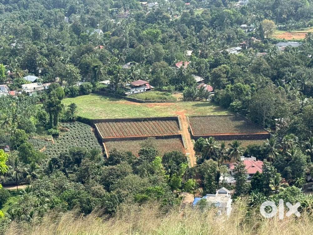 തൊടുപുഴ ഒളമറ്റം ഭാഗത്ത്  വീതിയുള്ള റോഡ്‌ സൈഡിൽ പ്ലോട്ടുകൾ വില്പനക്ക്‌
