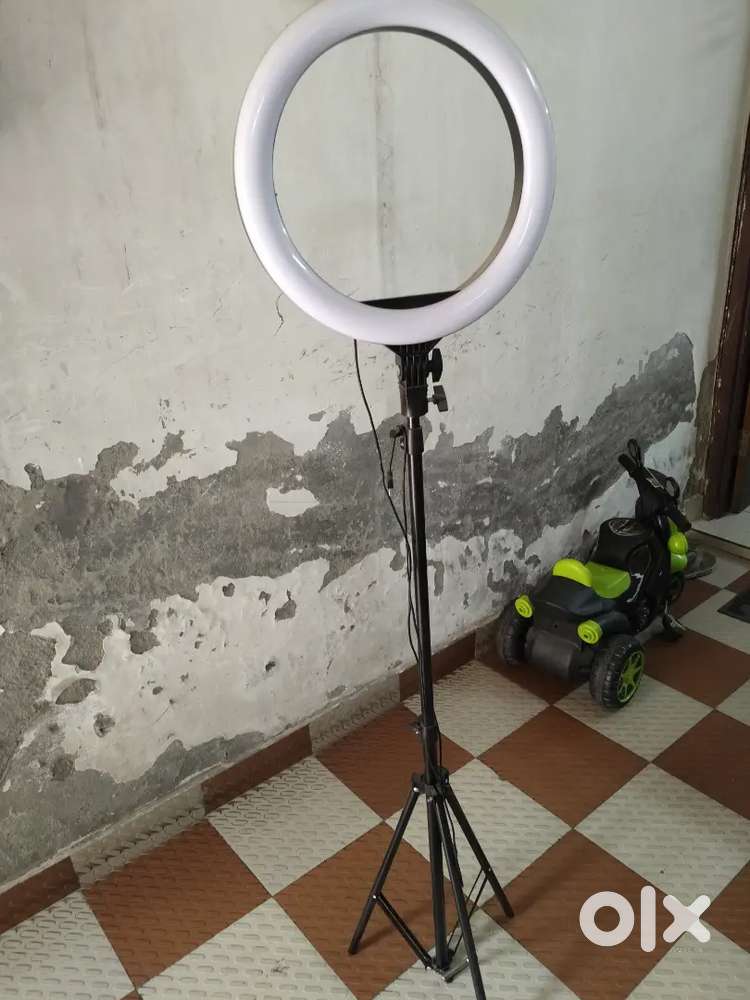 Ring Light with Tripod & Woolen Fur Background