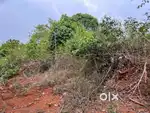 2 acre land for sale in Mudigere