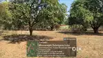 Plot for sale in Bomalaramaram