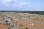 Plot for sell
