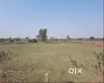 VBT Ratapani Tiger Reserve Project