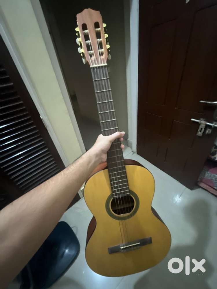 Cordoba   Protege   C1M   3/4th Size   Classical   Guitar