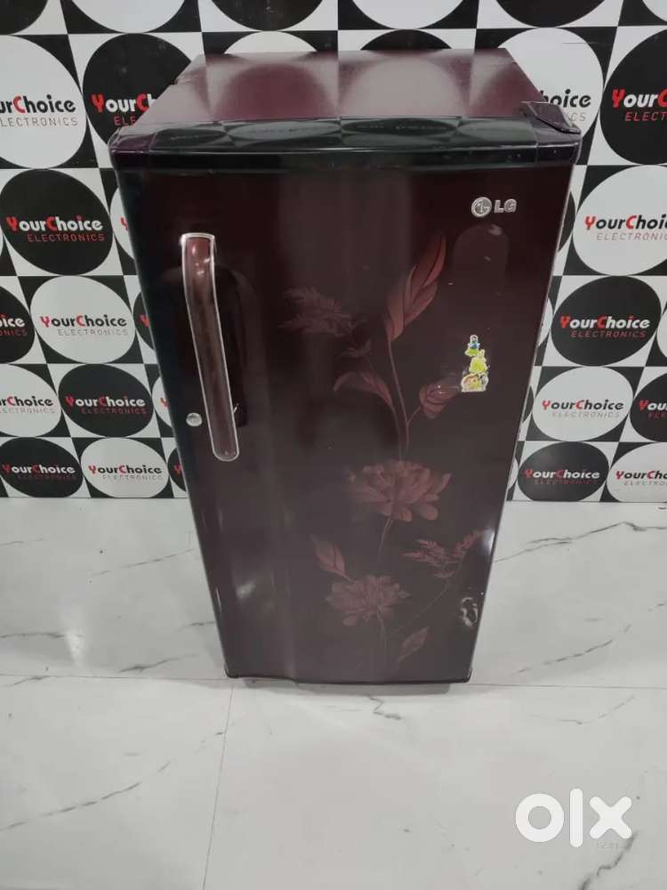 Free shipping LG flower design single door refrigerator