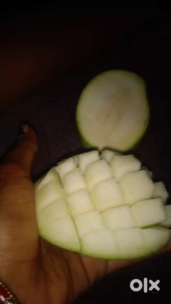 I am a chinese & indian cook i want job ...