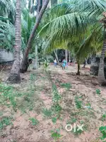 40 cent land for sale in mela santhayadi