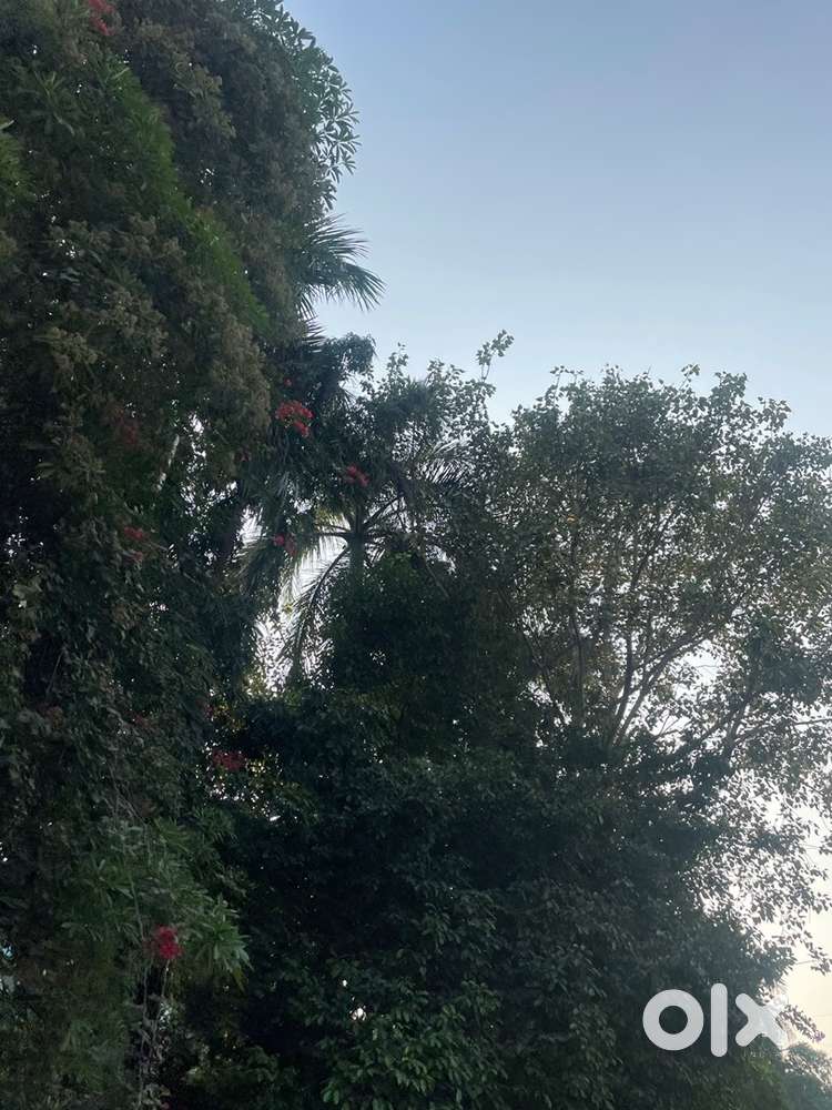 Required Manager Man for online Business