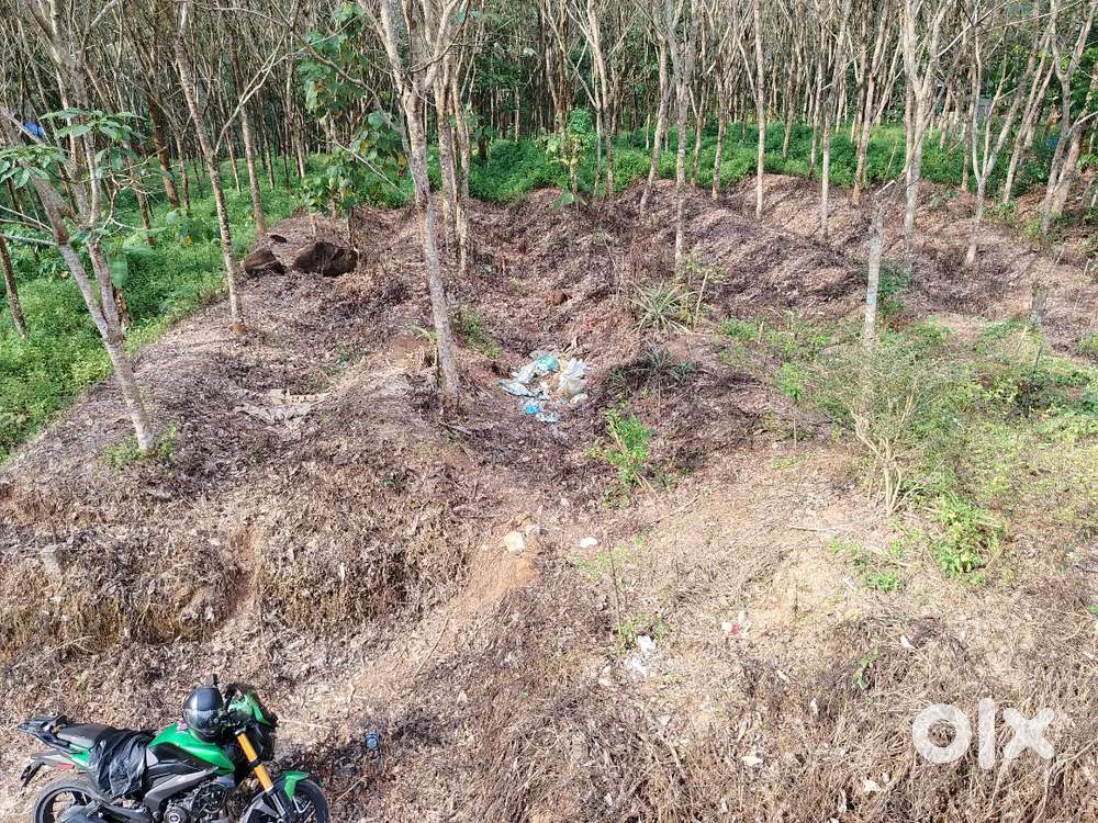 10 Cent square Hose plot for sale, Puthukod, Near Mukkunnam Kadakkal.