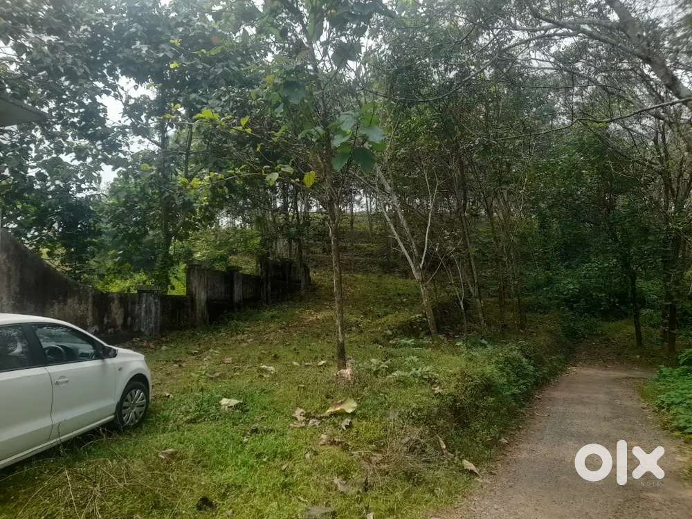 Kizhakambalam 3Acer to 8Acer 8metr road access for sale.