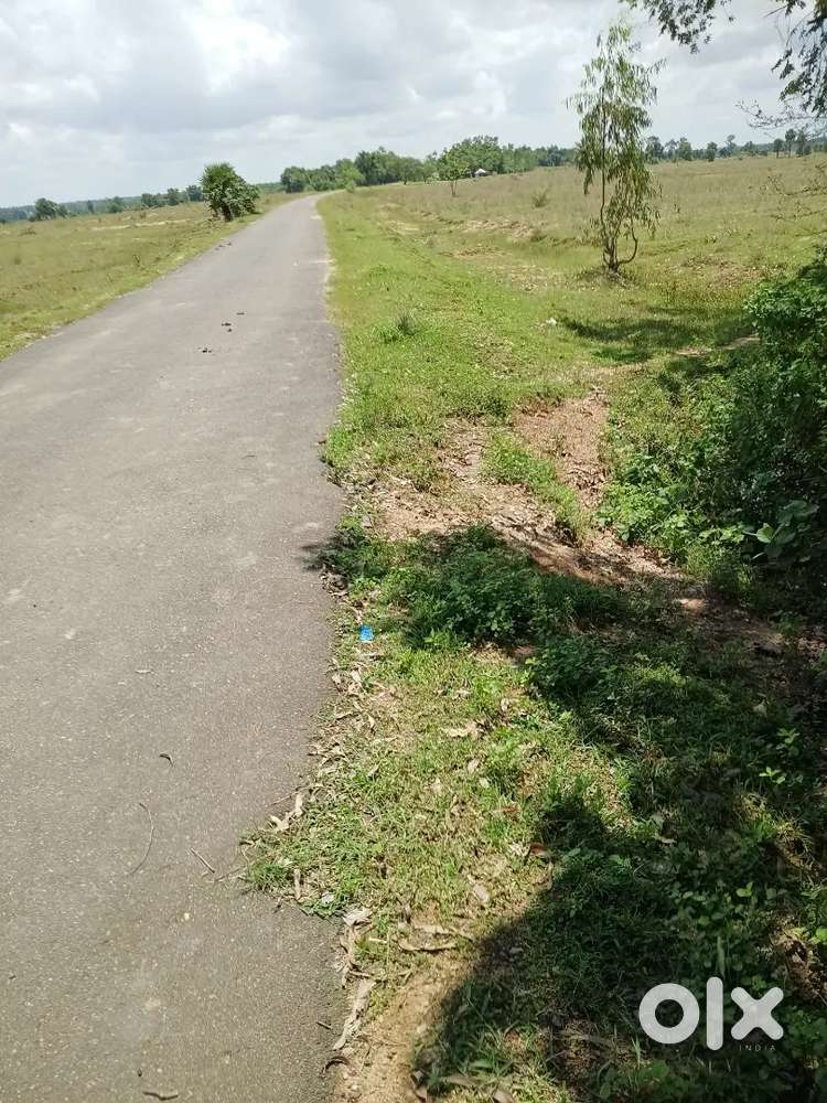 10/50  Bigha Lands at Chandrapur  near Suri Town in Birbhum in W.B.