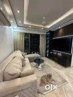 For rent or outrate anything you want