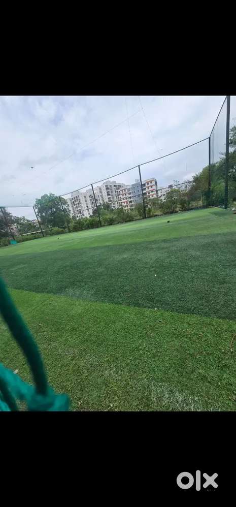 Cricket / Football TURF