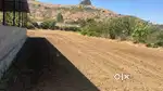 30 Guntha Agriculture/ Farmhouse land for sell at Anjineri, Trimbak