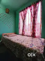 Need a decent female roommate