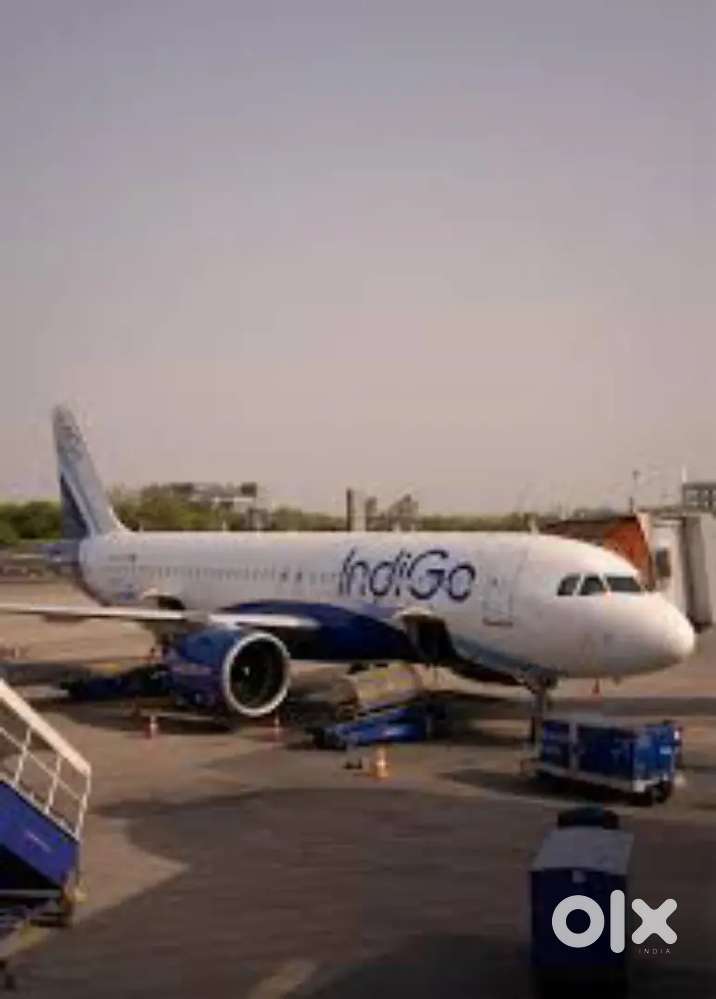 Urgent hiring for ground staff jobs in Indigo Airlines