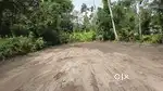 5 cent plot തുറവൂർ അമ്പലത്തിലെ ഒരു കിലോമീറ്റർ മാറി