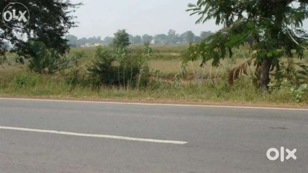Patna plot for sell