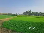 I want to sell my agricultural plot at my village in Varanasi
