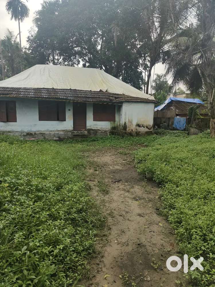 Land for sale at Vyttila near HUB