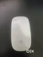 Apple magic mouse